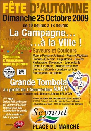 Affiche de la fête d'automne 2009 à Seynod