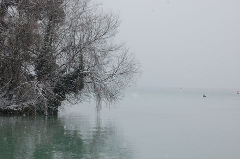 Photo de l'ile aux cygnes sous la neige