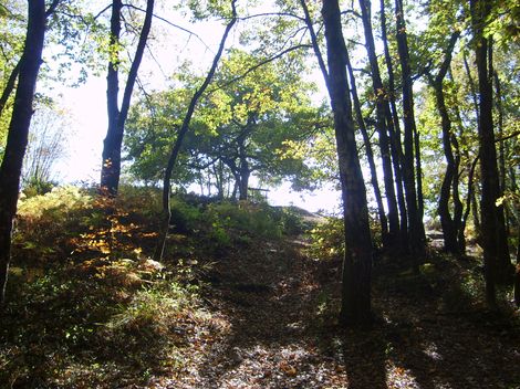 Chemin forêt au Roc de Chère