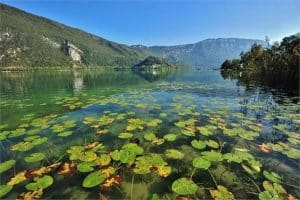 Lac d'Aiguebelette réserve naturelle