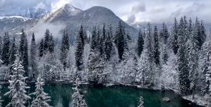 lac vert hiver
