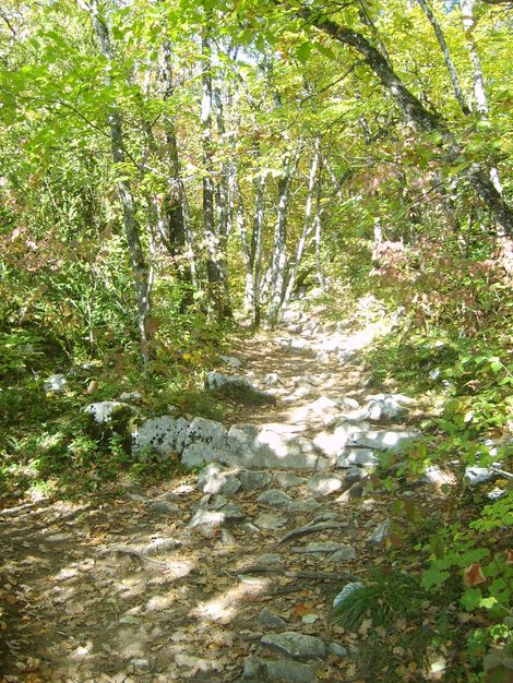 Chemin Roc de Chère