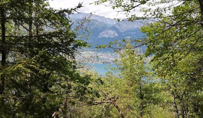 Le lac d'Annecy depuis Les Puisots