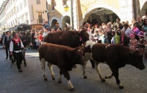 La Descente des Alpages à Annecy
