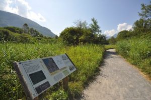 La réserve naturelle nationale du bout du lac d'Annecy