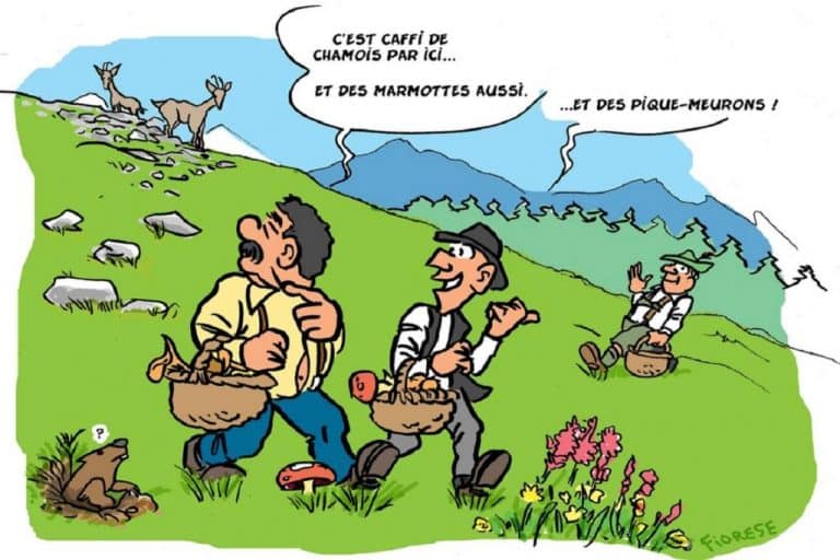 patois-savoyard-ces-expressions-utilis-es-aujourd-hui