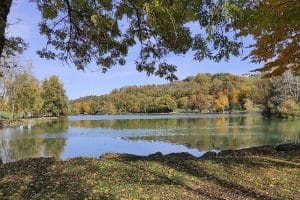 Le Lac de la Balme de Sillingy