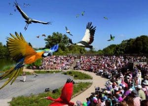 Parc des oiseaux - Villars-les-Dombes