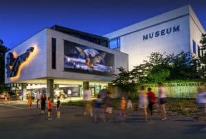 Le Muséum d'histoire naturelle de Genève