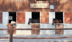 La Cavale de Sévrier