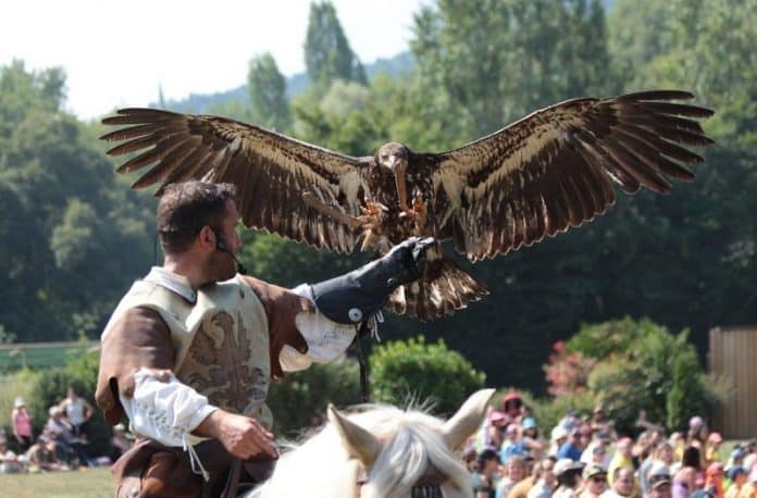 Les Aigles du Léman