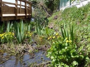 L'espace naturel des Gavilles à Annemasse