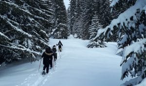 Raquette au plateau des Glières