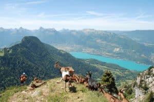 Trail Lac d'Annecy