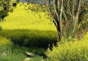 Balade à Etercy en Haute-Savoie