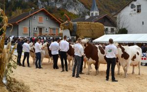 La Foire de la Bathie à La Balme-de-Sillingy