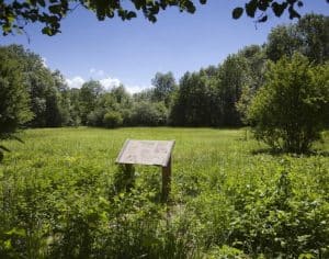 Le Bois des Côtes et Marais Côte Merle à Meythet