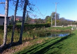 Le Chemin du Marais de l’Eau Cachée à Cuvat