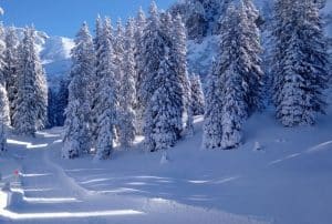 Domaine de l'Arbaron à Flaine