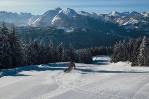 Domaine skiable des Gets