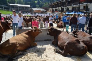 Foire de la Croix à la Clusaz