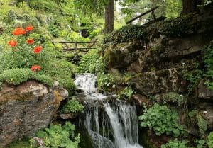 Jardin botanique alpin de la Jaÿsinia à Samoëns