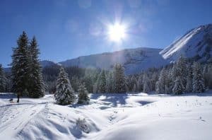 La boucle des sapins Praz de Lys-Sommand