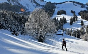 La randonnée du Versant forestier à Abondance