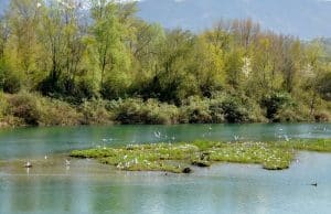 La réserve naturelle du Delta de la Dranse