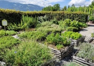 Le Jardins des Cimes de Passy en Haute-Savoie