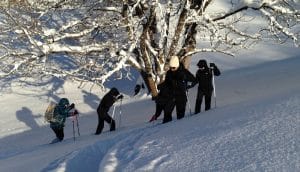 Les Allamands Samoëns