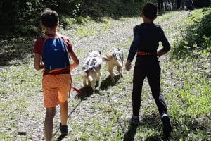 Mini-stage les Mushers juniors à Grand Revard - La Féclaz