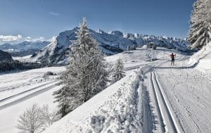 Plateau de Beauregard ski de fond Haute-Savoie