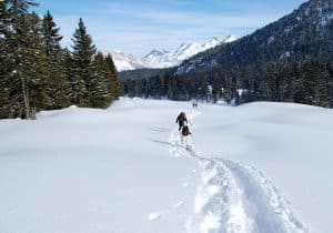 Raquettes au plateau des Glières