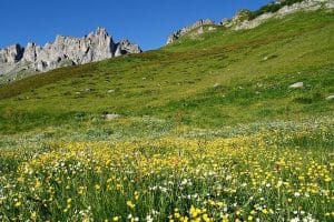 Réserve Naturelle des Contamines Montjoie