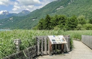 Réserve naturelle du Bout du Lac d'Annecy