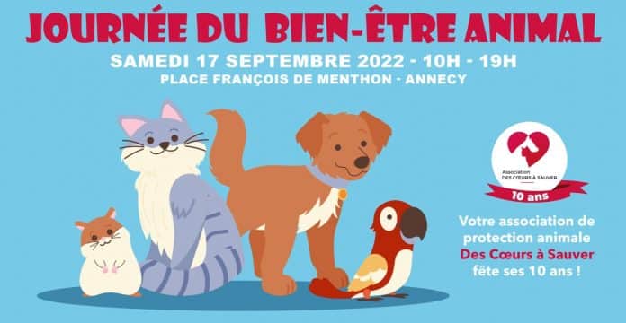 affiche des 10 ans de l'association Des Cœurs à Sauver