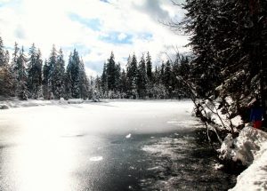 lac vert en hiver