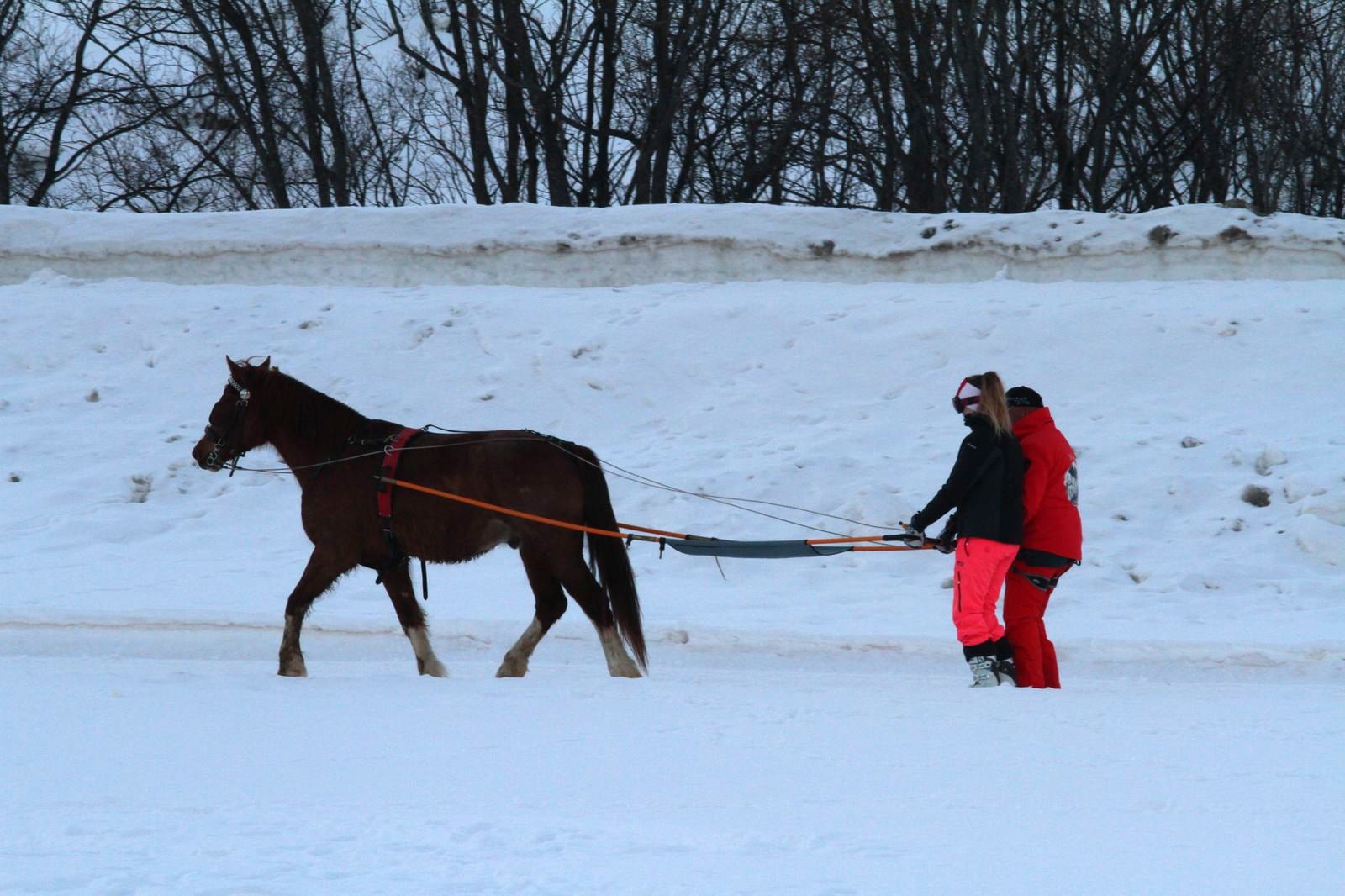 ski joering bonneval sur arc