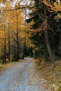 couleurs d'automne © M. Pitteloud