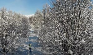 sentier foret valloire