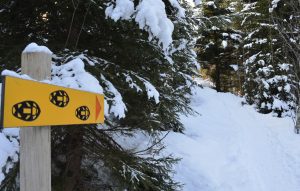 sentier raquettes praz sur arly © office de tourisme