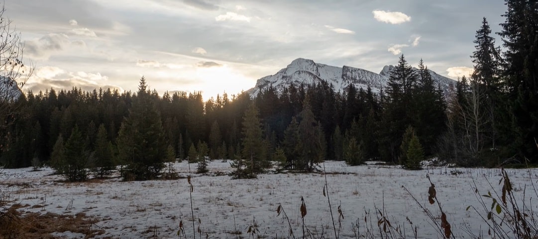 tourbière La Clusaz bois de la Colombière