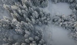 vue aérienne sapins les arcs