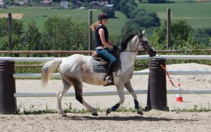 équitation annecy