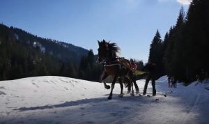 ski joering morzine