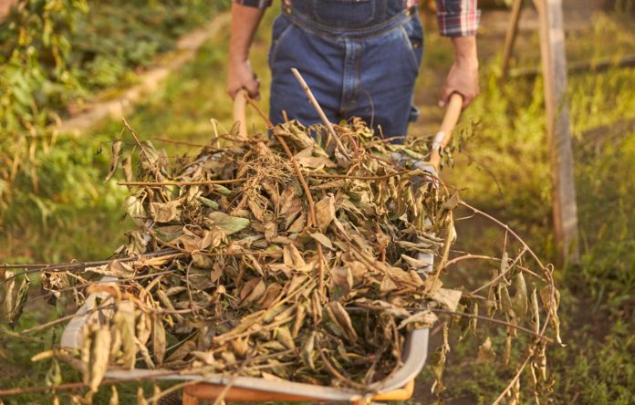 tas de branches dans une brouette