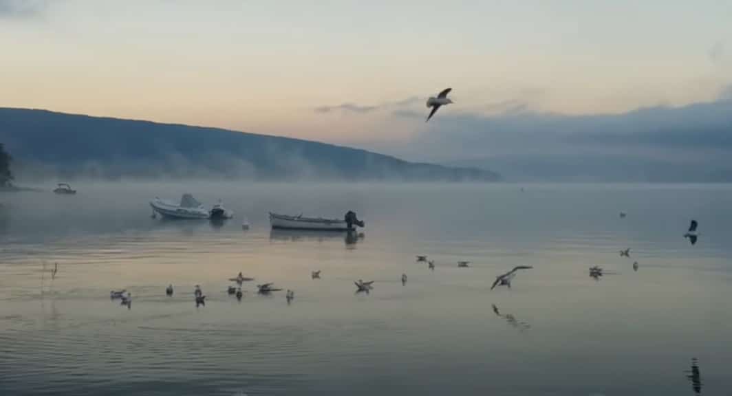 brume lac d'annecy