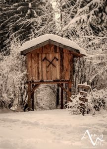 entrée cabanes du mont blanc plaine joux ©M. Pitteloud