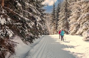 ski de fond forêt